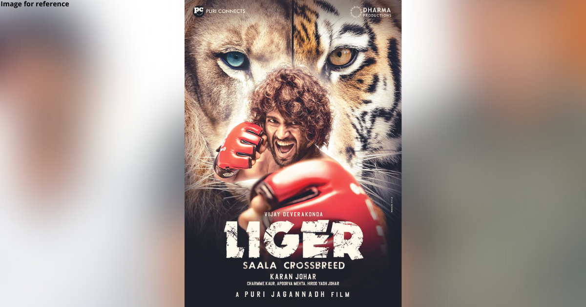 Liger review: A meme-worthy mindless mediocrity